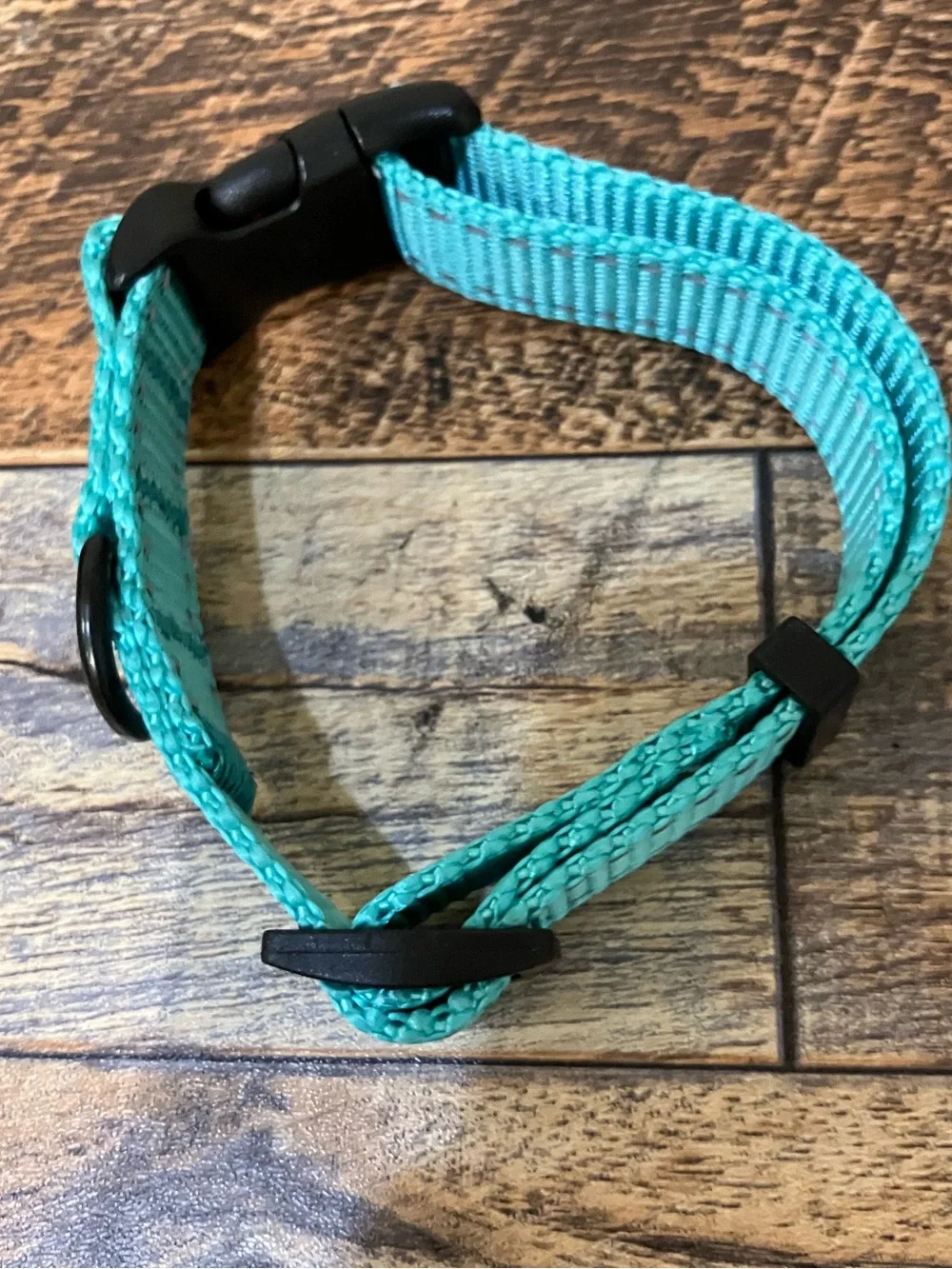 CollarDirect Adjustable Reflective Nylon Dog Collar, Mint Green, X-Small